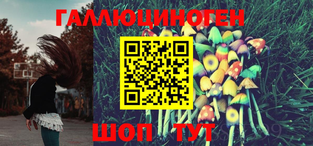 Дзержинский  Псилоцибиновые грибы Psilocybine cubensis  Вход с VPN 