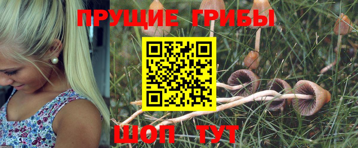 Псилоцибиновые грибы Magic Shrooms Дзержинский